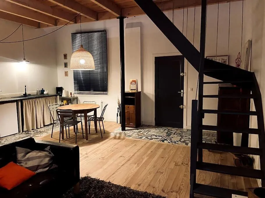 Tres Bel Appartement En Duplex De 45 M2 Labastide-Saint-Georges